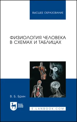 Физиология человека в схемах и таблицах, Брин В.Б., Издательство Лань, 2021  г. - купить книгу, читать онлайн ознакомительный фрагмент