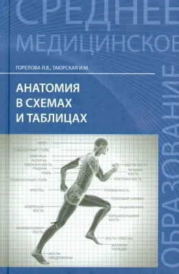 Книга: "Анатомия человека в таблицах и схемах. Учебное пособие" - Олег  Калмин. Купить книгу, читать рецензии | ISBN 978-5-222-26694-6 | Лабиринт