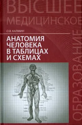 Анатомия человека: миология в схемах и таблицах. Дьяченко Е.Е., Полянская  Л.И., Катаев С.И. (7413273) - Купить по цене от 1  руб. | Интернет  магазин 