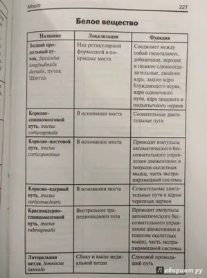 Анатомия сердца (в схемах и рисунках) - купить с доставкой по выгодным  ценам в интернет-магазине OZON (650289713)