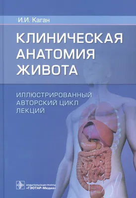 Как тренировать мышцы живота, чтобы получить тонкую талию?Перестаньте  качать пресс это не выход. | ФИТНЕС STAR | Дзен