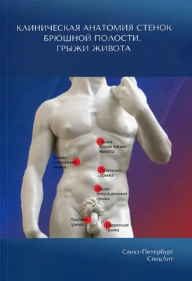 Пищеварительная система : нормальная анатомия | e-Anatomy