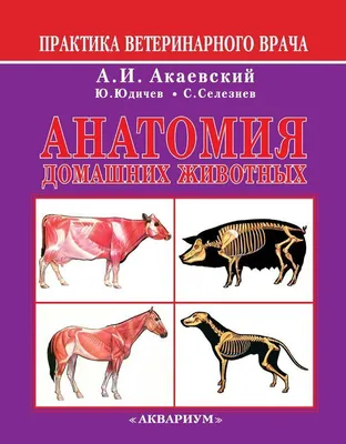 Книга: "Анатомия животных.Практикум.Учебное пособие для вузов" -  Зеленевский, Зеленевский, Щипакин. Купить книгу, читать рецензии | ISBN  978-5-8114-8157-6 | Лабиринт