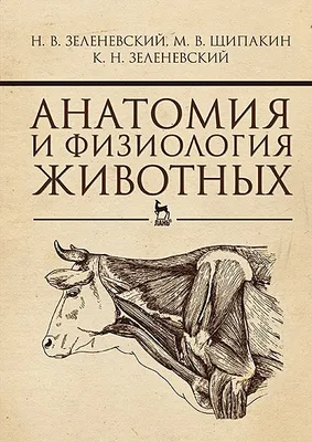 Анатомия продуктивных животных. Практикум для специалистов по  ветеринарно-санитарной - купить книги о животных в интернет-магазинах, цены  на Мегамаркет | 978-5-4238-0331-5