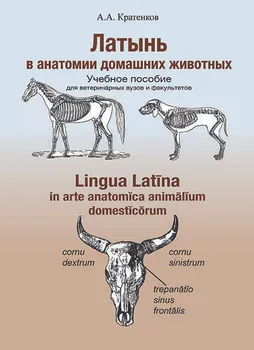 Анатомия доисторических существ | Пикабу