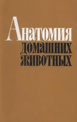 Анатомия животных | это... Что такое Анатомия животных?