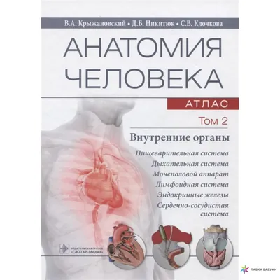 Анатомия человека: атлас-раскраска Эксмо 2451209 купить за 1 752 ₽ в  интернет-магазине Wildberries