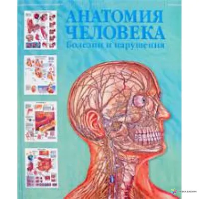 Анатомия человека. Болезни и нарушения, купить в интернет-магазине: цена,  отзывы – Лавка Бабуин, Киев, Украина