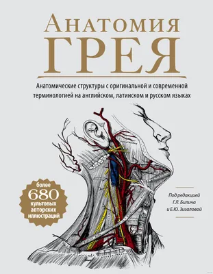 Анатомия Грея. Анатомические структуры с оригинальной и современной  терминологией на английском, латинском и русском языках» Габриэль Билич,  Елена Зигалова - купить книгу «Анатомия Грея. Анатомические структуры с  оригинальной и современной терминологией на