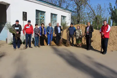 На базе николаевского конецентра «Наш край» высадил фруктовый сад и  канадские клены — НикВести — Новини Миколаєва