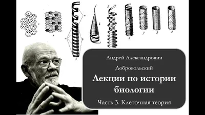 Концерт «Дороги Любви». Москва.  | «Музыкальная карта»