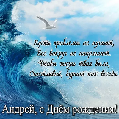 Открытка на День рождения Андрею - чайка на фоне огромной волны и пожелание