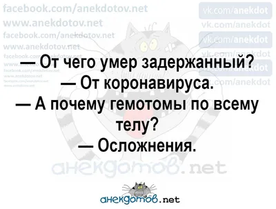 Школьные анекдоты | Нет автора - купить с доставкой по выгодным ценам в  интернет-магазине OZON (1151474087)