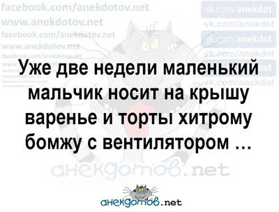 анекдотов нет / смешные картинки и другие приколы: комиксы, гиф анимация,  видео, лучший интеллектуальный юмор.