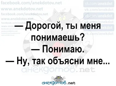 Лучшие анекдоты »  - Русский развлекательный портал