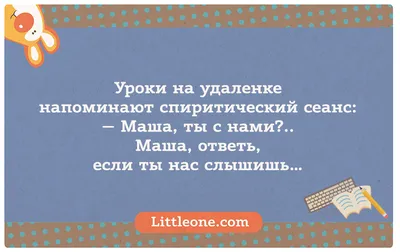 Анекдоты про Вовочку: 50+ самых смешных и любимых шуток