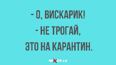 Лучшие короткие анекдоты: более 50 шуток на разные темы