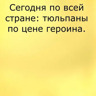 8 марта - Шутки и анекдоты к празднику - Апостроф