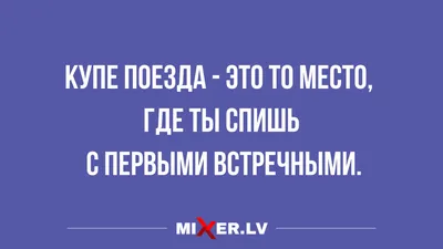 Шутки про Новый год: 50+ свежих и смешных анекдотов