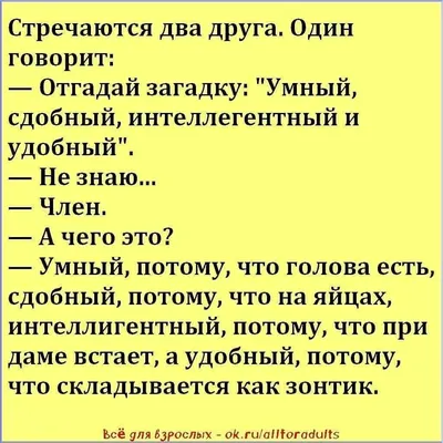 Анекдоты: Пошлые истории.. | АНЕКДОТЫ ХИТ-ХИТЫЧЬ | Дзен