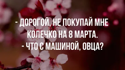 Анекдоты про 8 марта: смешные, прикольные, Обозреватель | 