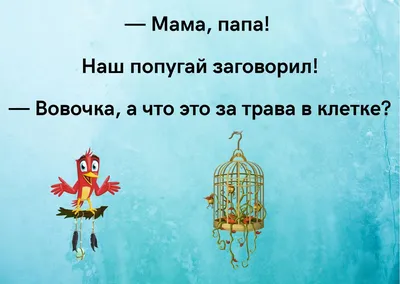 Анекдоты про возраст - самые смешные шутки о взрослении для поднятия  настроения - Телеграф