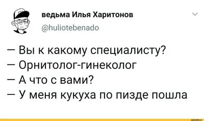 ведьма Илья Харитонов @1и|1ю1еЬепас1о V — Вы к какому специалисту? —  Орнитолог-гинеколог — А ч / психиатрия :: анекдоты :: интернет / смешные  картинки и другие приколы: комиксы, гиф анимация, видео, лучший  интеллектуальный юмор.