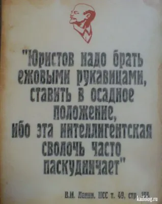 Анекдоты про юристов | Смешно и Умно | Дзен