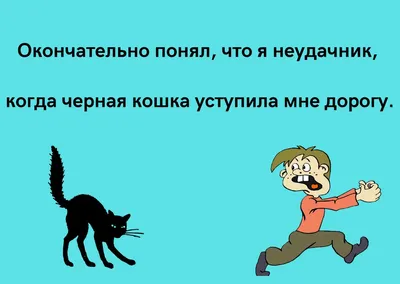 Анекдоты в праздник-6 1 марта День кошки в России | Мы Вам Не Верим | Дзен