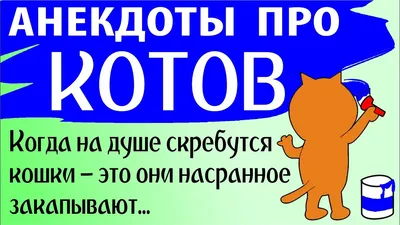 Анекдоты про животных и птиц