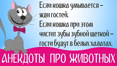 Анекдоты про котов: 50+ шуток, которые поднимут вам настроение