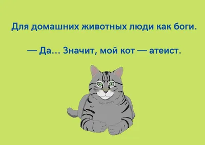 Анекдоты про котов 