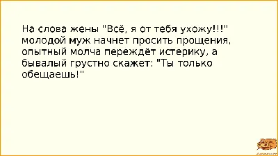 Анекдот про мужа и жену | Смешные поговорки, Смешные надписи, Муж