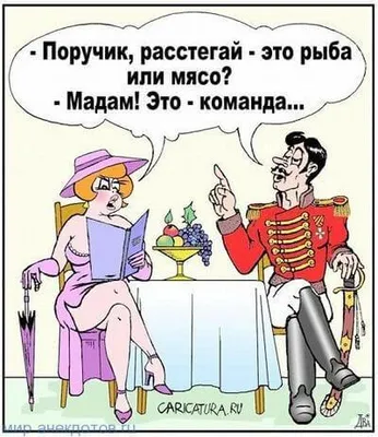 Анекдот: Наташа Ростова спрашивает у поручика Ржевского, как гусары  обходились в походах без женщин | Мега Кот production | Дзен