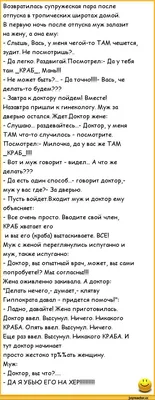 Анекдот №919242 Скоро сезон новогодних отпусков. Много известных россиян,…