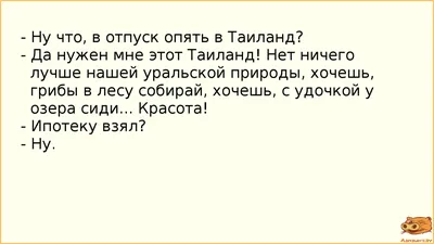 Анекдот №904274 — Уходишь в отпуск — Удаляешь все аккаунты — Уезжаешь в…