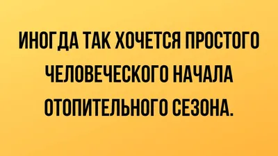 Лучшие анекдоты про пятницу 13-го и пятницу вообще |  | Дзен