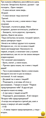 Приколы на семейных фото. Анекдоты про семью. | Вероника Котова | Дзен