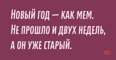 Анекдоты и юмор на 1 января | Mixnews