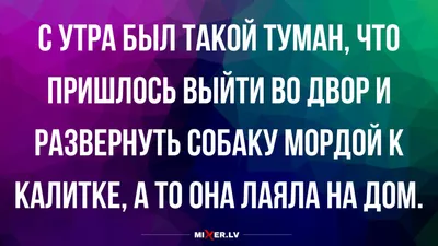 Шутки и истории о работе в такси для пассажиров и водителей