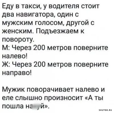 Сочинское такси доставит вас в любое место седым и невредимым: анекдоты дня  | Живая Кубань