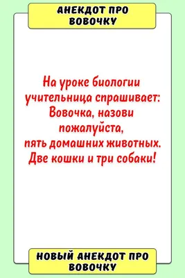 Анекдоты про вовочку: истории из жизни, советы, новости, юмор и картинки —  Лучшее, страница 5 | Пикабу