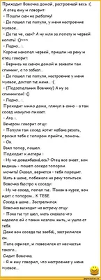 Анекдоты о Вовочке - купить с доставкой по выгодным ценам в  интернет-магазине OZON (729730548)