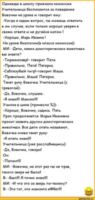 Анекдоты про Вовочку: 50+ самых смешных и любимых шуток