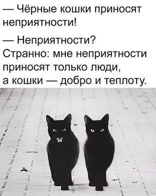 Анекдоты все ″Планета анекдотов″. – смотреть онлайн все 102 видео от  Анекдоты все ″Планета анекдотов″. в хорошем качестве на RUTUBE