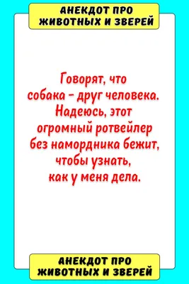 Анекдоты про животных в яме. | Пикабу