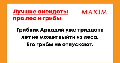 Анекдоты про животных - позитивные шутки и приколы про кошек, собак и диких  зверей - Телеграф