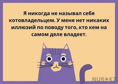 Анекдоты про телевидение - приколы и шутки про влияние телевизора,  телеведущих и телезрителей - Телеграф