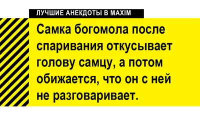 Анекдоты про животных / смешные картинки и другие приколы: комиксы, гиф  анимация, видео, лучший интеллектуальный юмор.