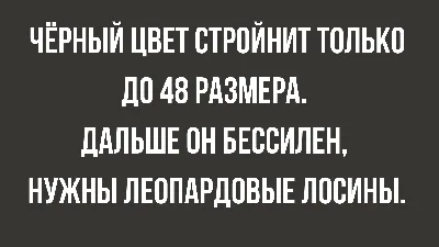 Самый смешной анекдот в мире в 2023 году: 50+ шуток